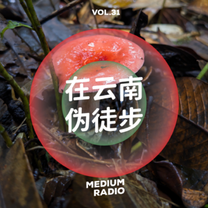 在云南伪徒步