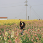 vol.29 热闹过后，一场空：我的春节反思录