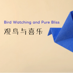 英音磨耳朵Vol.10-观鸟与喜乐 Bird Watching and Pure Bliss