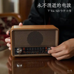 Vol. 523 永不消逝的电波(下)