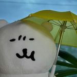 有1片叶子