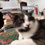 美味的汤咖喱