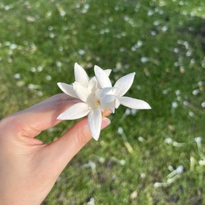 podcaster-avatar