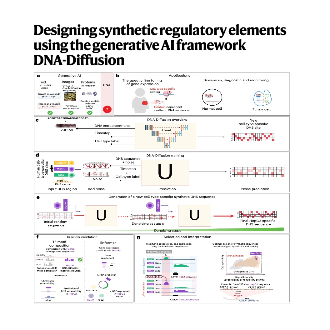475-DNA-Diffusion:Design Cell-Specific Regulatory Elements episode artwork