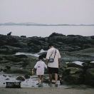 老兔几