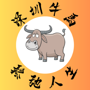 Vol.26 从英语到四大再到大厂，我如何“不设限”打破职业天花板？