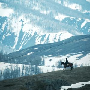 EP13-自由，谁能不爱呢？—《我的阿勒泰》观后