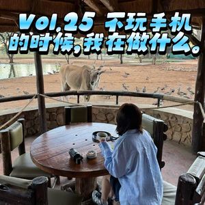 Vol.25 不玩手机的时候，我在做什么