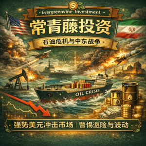 百万实盘17：霍尔木兹海峡断航+原油暴涨下的资产保卫战