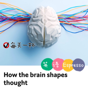 【72】大脑如何形成思想