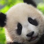 虚无的人