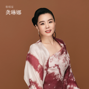 龚琳娜:我的音乐不走野路子，走更宽的路