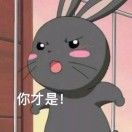 一张峡谷地图