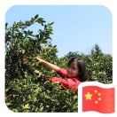 木木清清_SGa4