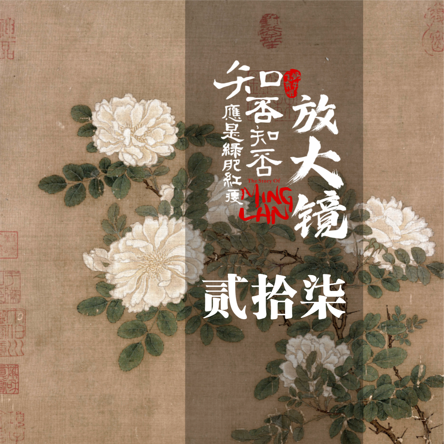 知否放大镜 27：纯臣，观势之道 episode artwork