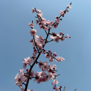 44. 只有不喜欢麻烦别人的人才懂这种拧巴