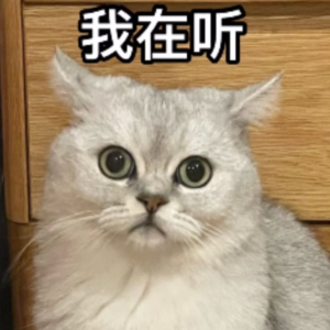 咨询师的基本态度：承认心智的不透明｜休息站02