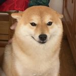 棋力下降了