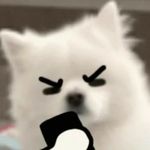 乌卡拉卡哇哇哇