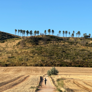 E6 小马过河｜去走朝圣之路，要准备些什么