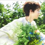 风吹哪页读哪页1