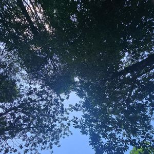 Let it pass,and let me go