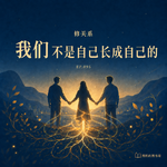 095「修关系」我们不是自己长成自己的丨我们都是《社会动物》