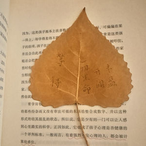 君怡的金鱼的个人播客