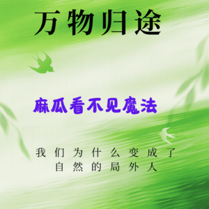 自然就是疗愈魔法，麻瓜看不到魔法