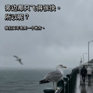 Vol.051 Wizzy带你走近‘观鸟’，偶尔做个世界安静的局外人~