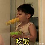 小土豆和洋洋的一生