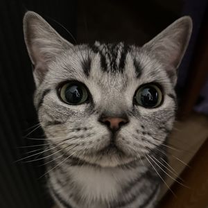 podcaster-avatar