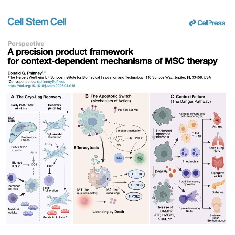 1079-Precision Product Framework for MSC Therapy episode artwork