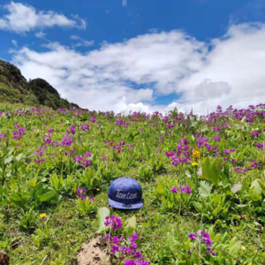 👁️玄学会客厅 043｜超自然UFO现象及濒死经验的谜思 Ft.占星师Tamtam