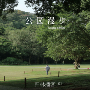 Vol.01｜随意漫步，才是公园里的正经事