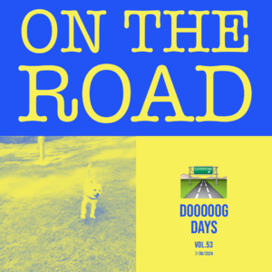 vol.53:叫醒一颗飞驰的心!