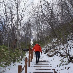 史蒂夫说69期 - 为什么新年愿望总是实现不了？