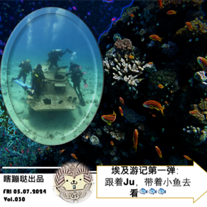 Vol030. 埃及游记第一弹: 跟着Ju带着小鱼去看小鱼