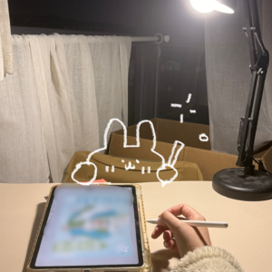 就喜欢在不合适的时间做不合适的事 📅 Nov.26