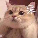 六日_M6HH