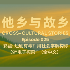 EP025 彩蛋: 短剧有毒？用社会学解构你的“电子榨菜” （全中文）