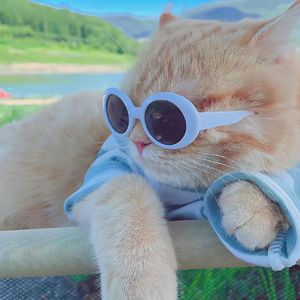 一直都要好好吃饭