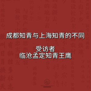 云南知青口述历史：成都知青与上海知青的区别