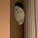 哼哼7