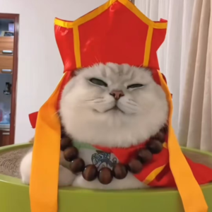 资本市场舆情解读【12月12日】