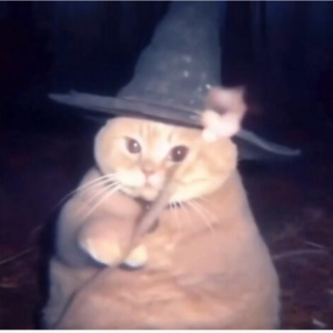 第三单元：秦、汉、魏晋南北朝时期的音乐