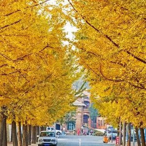 斗后时光 | 对谈烟斗大博主泰勒：咖啡馆里的妙趣花絮