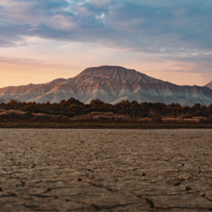 EP83 动态知识图谱、图神经网络模型与主题投资