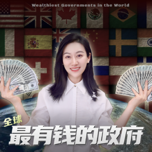 全球最有钱的政府们是怎么投资的？