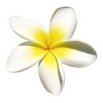 吉利夏威夷